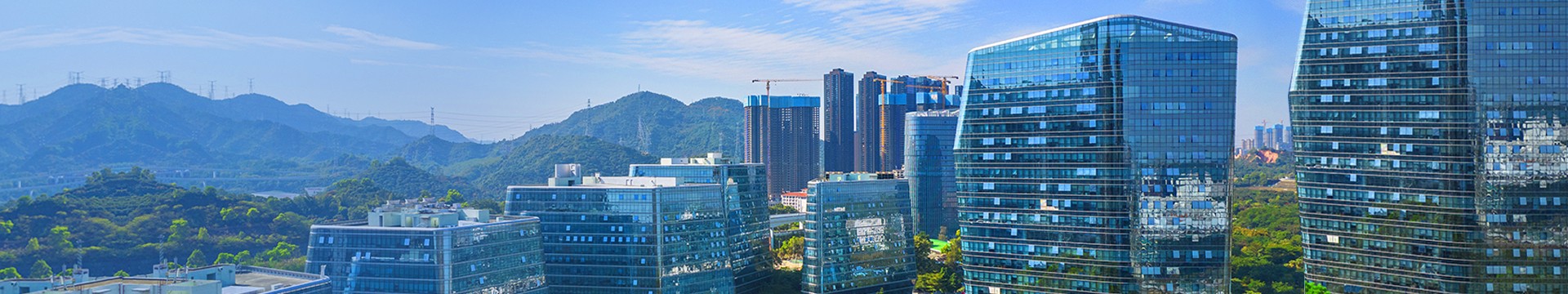 Large Enterprise Campus