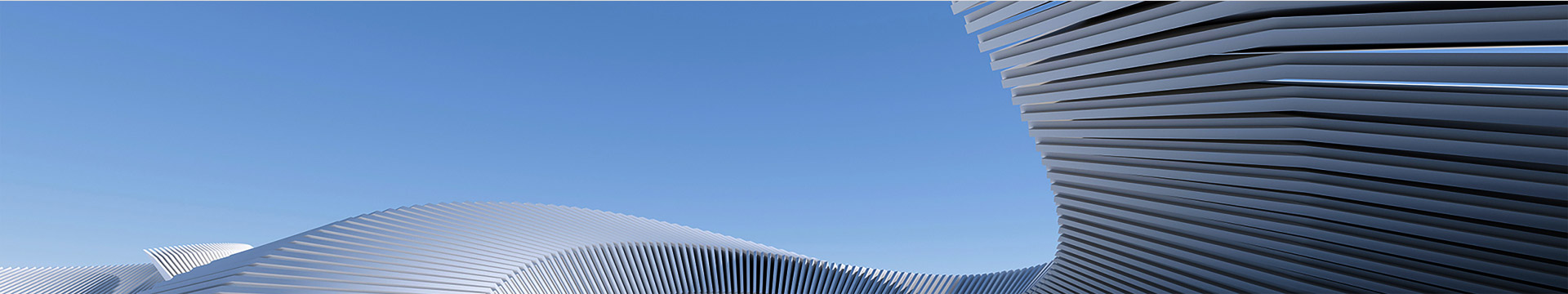 Micro and Small Enterprise Network